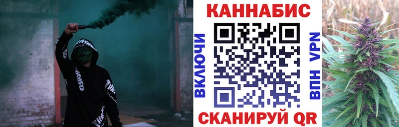 Бошки Шишки план Елец